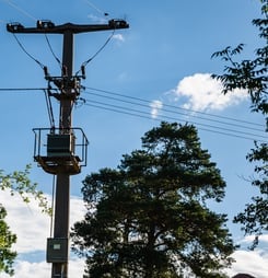 telegraph pole appreciation day