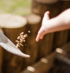 Tenderness Toward Existence Day