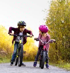 the big walk and wheel