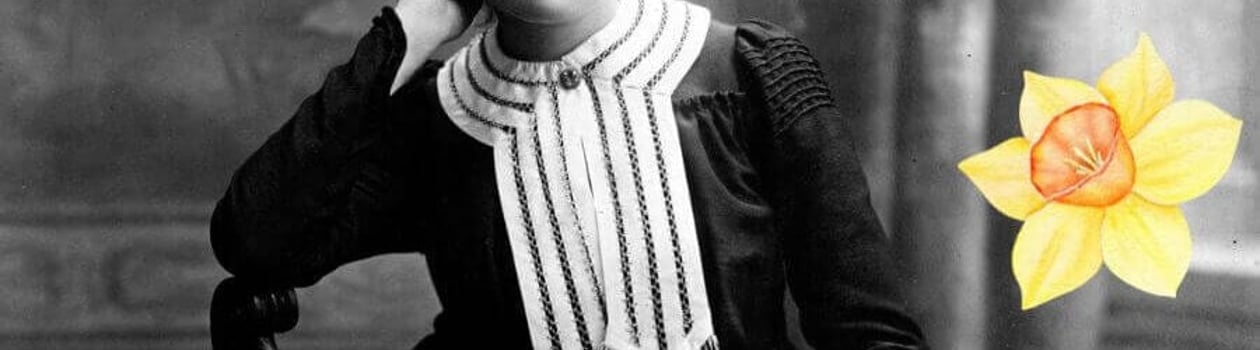 the great daffodil appeal