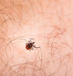 tick bite prevention week