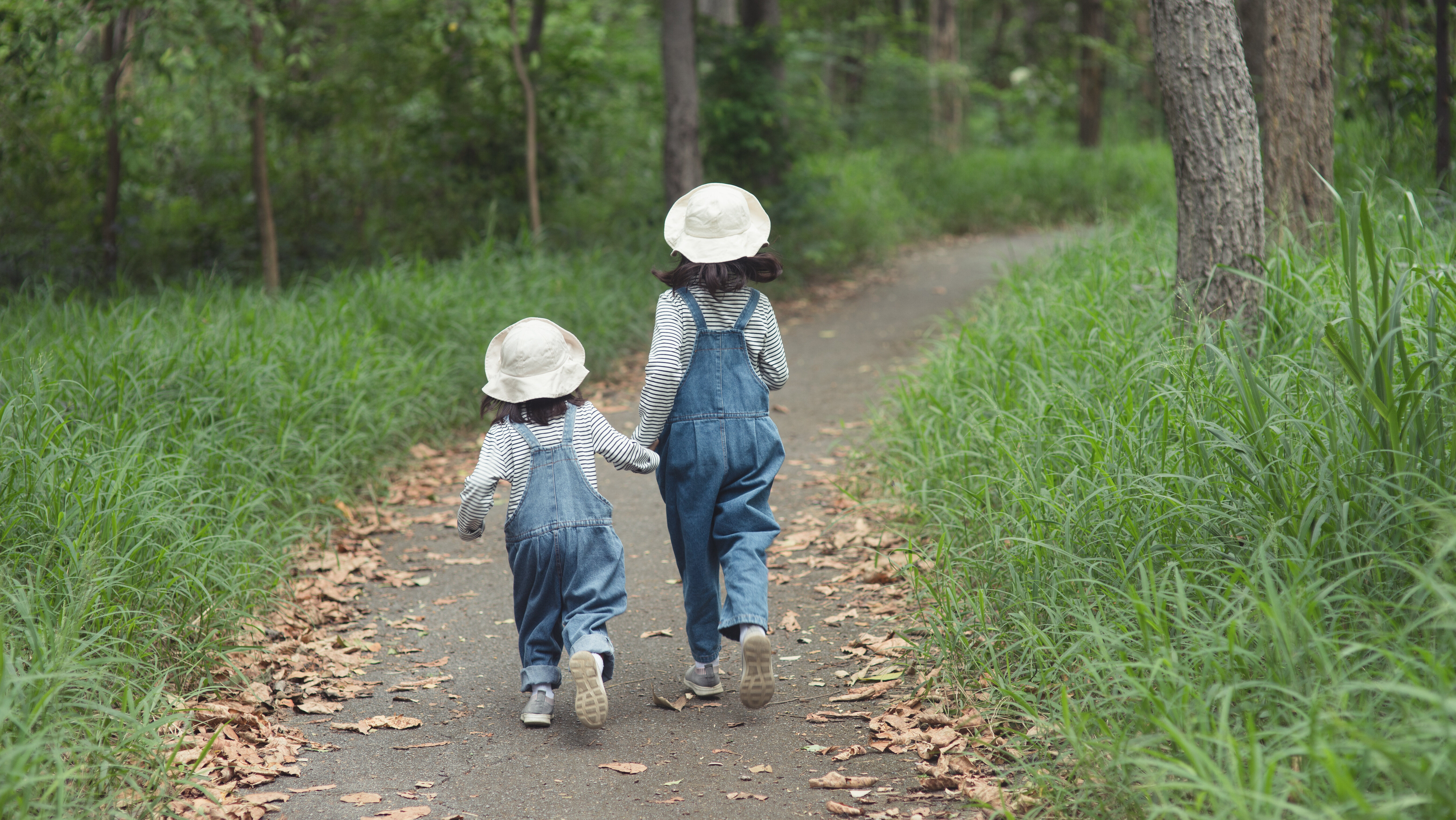 Toddle Waddle | Days Of The Year