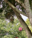 tree dressing day