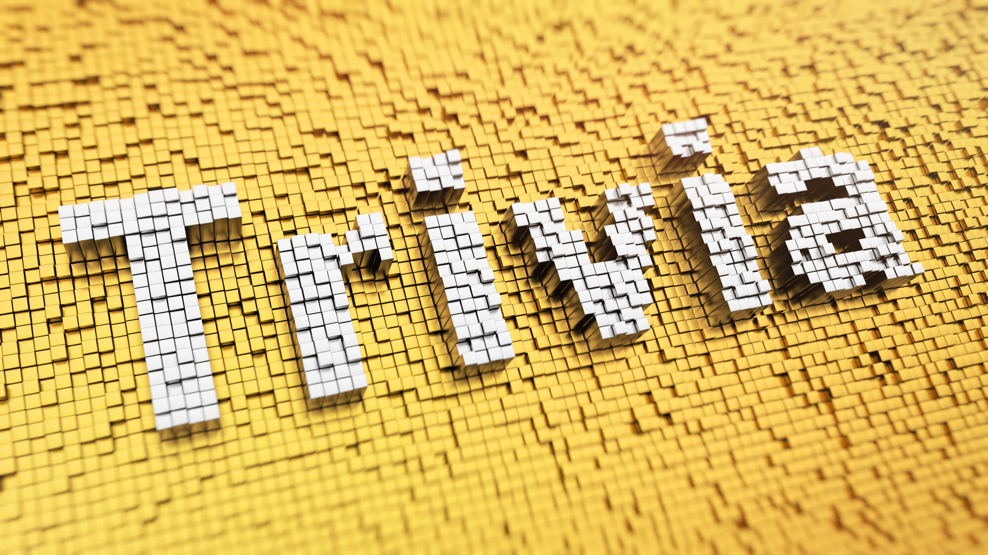 National Trivia Day January 4th Days Of The Year national-trivia-day-january-4th-days-of-the-year