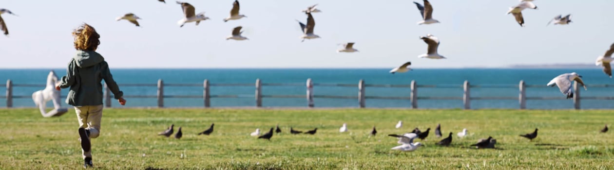 urban national wildlife refuge day