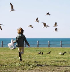 urban national wildlife refuge day