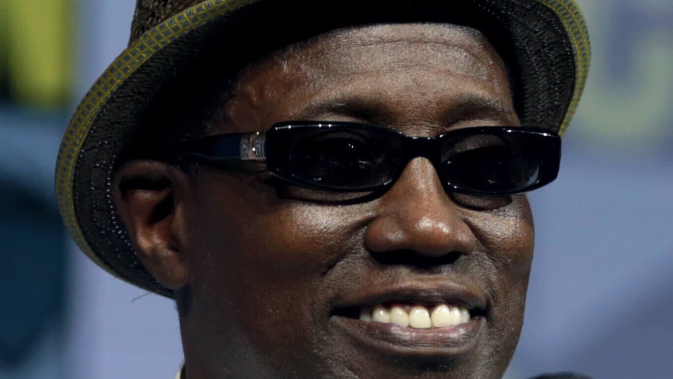 Wesley Snipes&rsquo; birthday (Jul 31st, 1962) | Days Of The Year