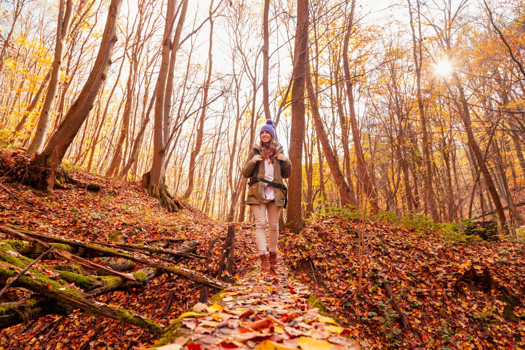 Take a Walk Outdoors Day January 20th Days Of The Year
