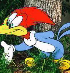 woody woodpecker day