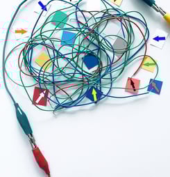 world behavior analysis day