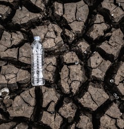 world day to combat desertification and drought