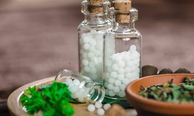 world homeopathy day