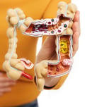 world inflammatory bowel disease day