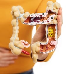 world inflammatory bowel disease day