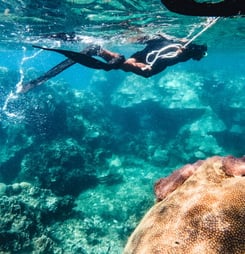 World Snorkeling Day