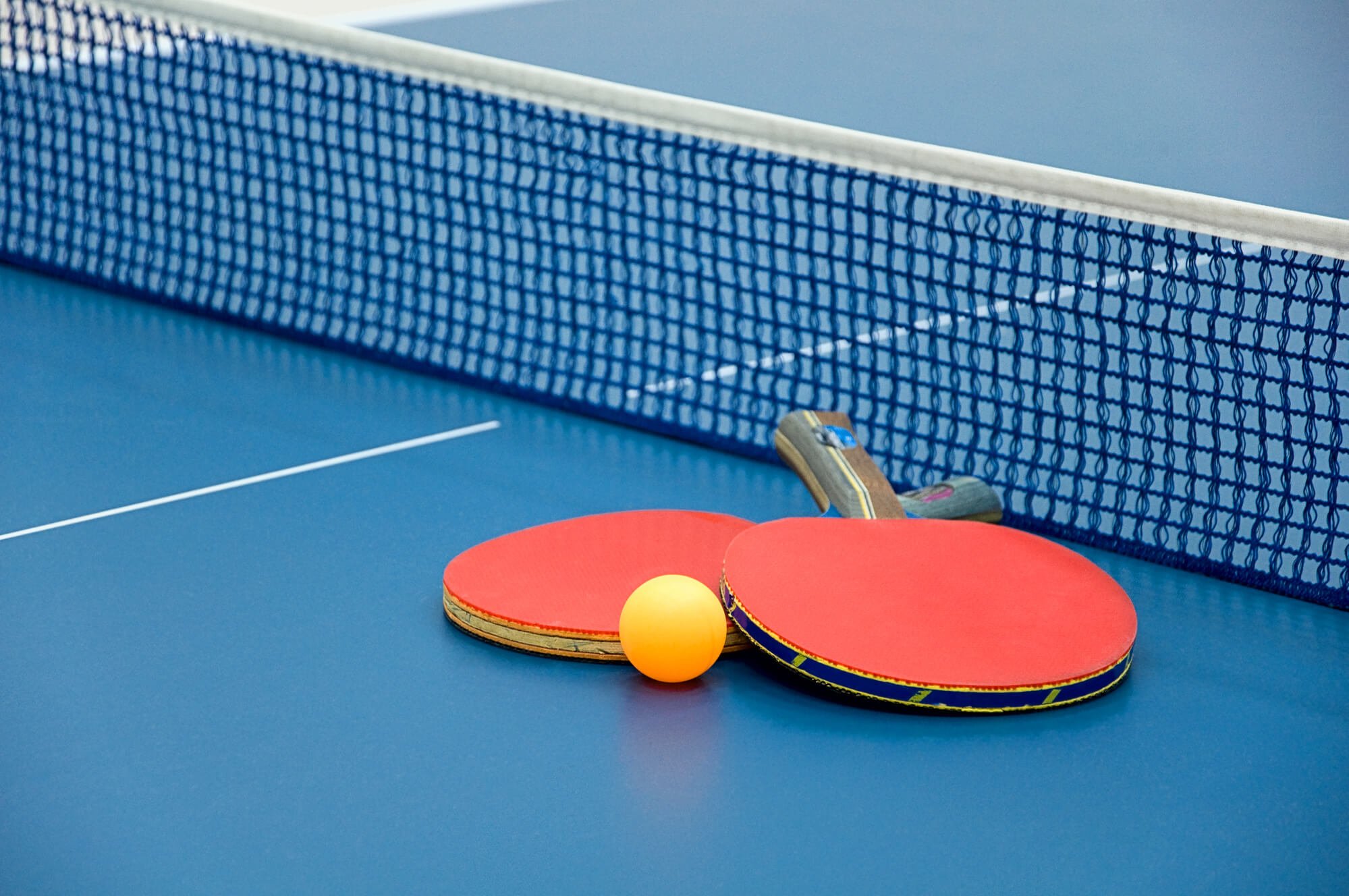 World Table Tennis Day (April 23rd)