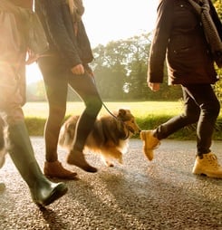 World’s Largest Pet Walk