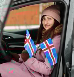 Icelandic Language Day