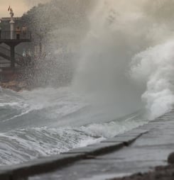 world tsunami awareness day